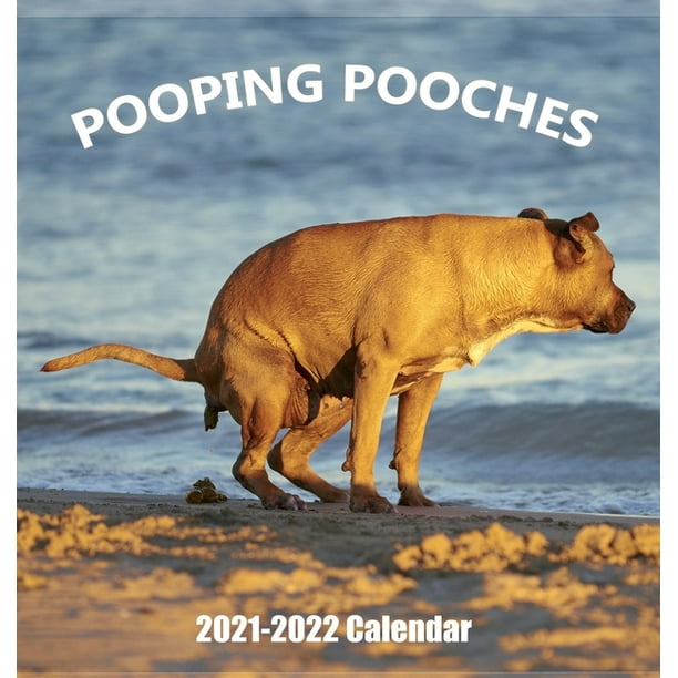 Funny Gifts 12 Month from Jan 2021 2021 to Dec Pooping Dogs Large 17 x 11 When Open 2021 Wall Calendar
